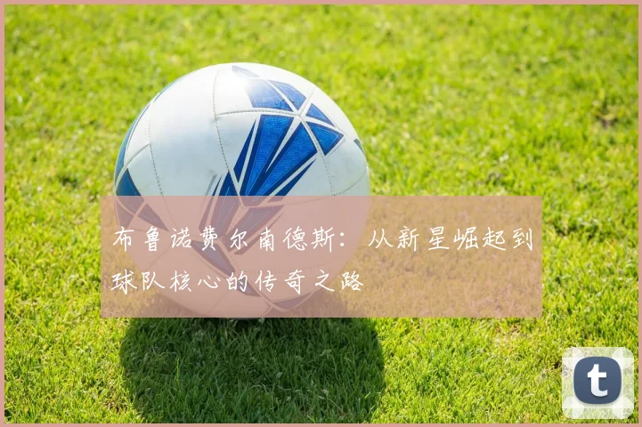 布鲁诺费尔南德斯：从新星崛起到球队核心的传奇之路